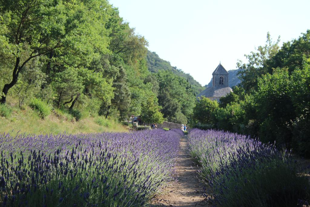 Villa Le Mazet Du Domaine Gordes Exterior foto